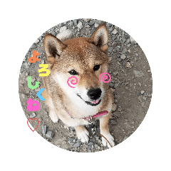 kuu_20191024214754