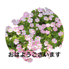 shizu_20191024222855