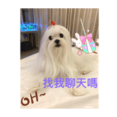 漂亮小姐Alice