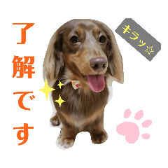 moka_20191025085805