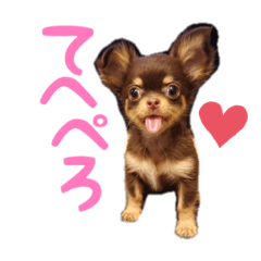 Akari_20191025014803