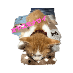 akiko_20191024231502