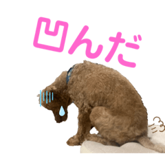 dori_20191025004426