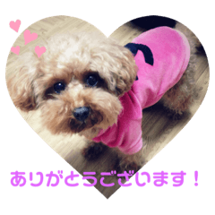 Maya_20191025142304