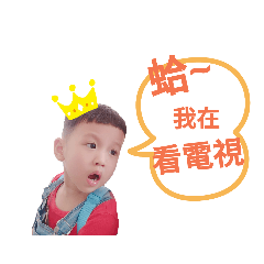 小柚子的繽紛日記2