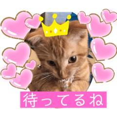 wasabi_20191025171228