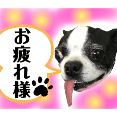hiroyuki_20191025192602