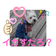 Frontier&Rebecca_20191025194040