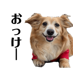 marina_20191025204409