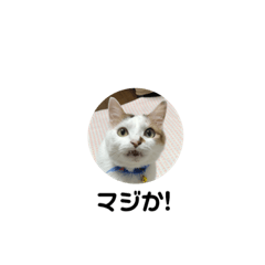 Sin_20191025205443