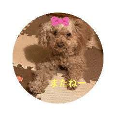 miyoko_20191025221048