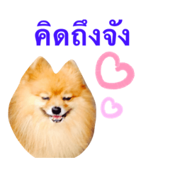 Muffin Happy Dog