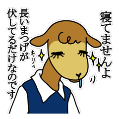 The lazy office camel,Kyameko