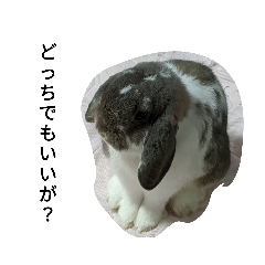 kosuke_20191025223057