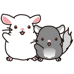 The Chinchilla Sticker - Diana & Nikiya