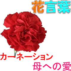 flower language 1