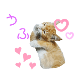 miko_20191026005815