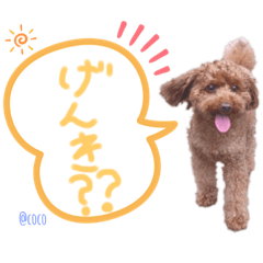 yun_20191026013747