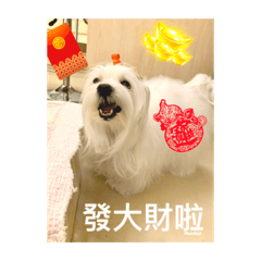 超強電力的Alice