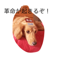Yuuki_20191026015734