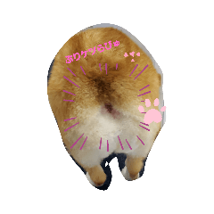 ayapons_20191026121317
