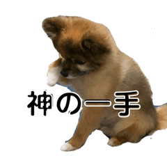 Hazuki_20191026133631