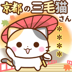 京都の三毛猫さん【カスタムスタンプ】