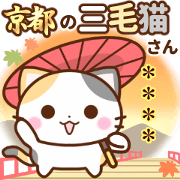 Kyoto's calico custam stamp