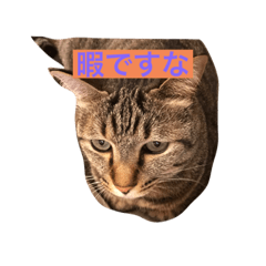 ayano_20191026175344