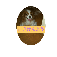 TAKE_20191026181054