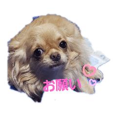 tatsuko_20191026180949