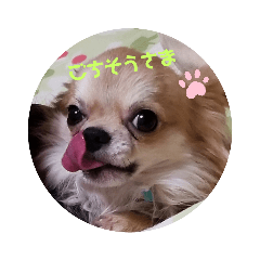 chiharu_20191026181409