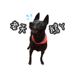 我的ruby