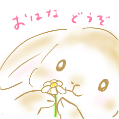 kawaii - Lop rabbits