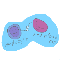 Blood components friends
