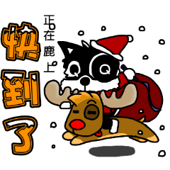 Fair dog QQ:Christmas