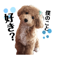nene_20191026135056