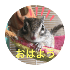 yuina_20191026165025