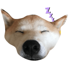 ha_20191026220225