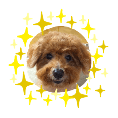 ayumi_20191026203752