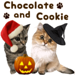 Chocolate and Cookie kitten Photosticker