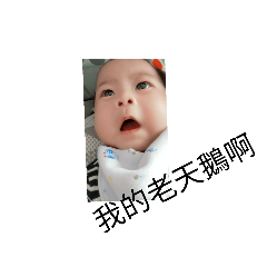 翔寶寶心情貼圖