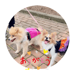 yukari_20191027110118