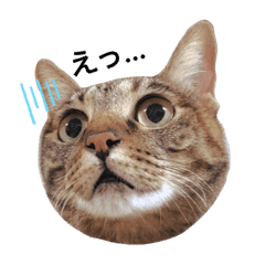 利用シーン Lineクリエイターズスタンプまとめ Stamplist Part 34