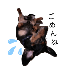 chococo_20191027023855