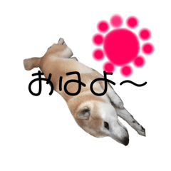 chiro_20191027135746