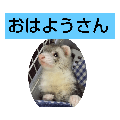 楓汰 - LINE スタンプ | LINE STORE