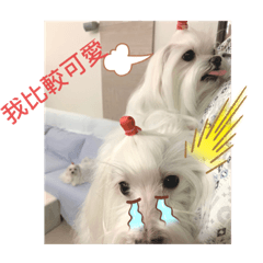 忠厚老實的Denny