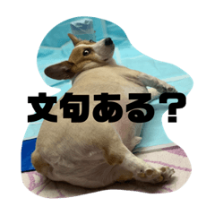 haruna_20191027164641