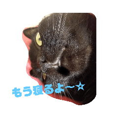 akiko_20191027181025